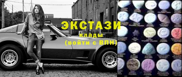 соль ск Каменка