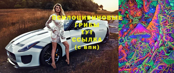 а пвп мука Ладушкин