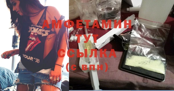 гидра Инта